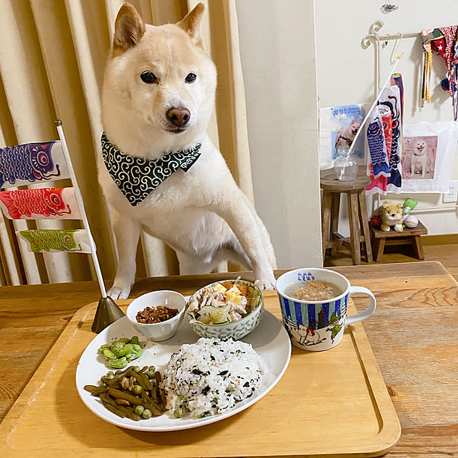 skyさんの部屋