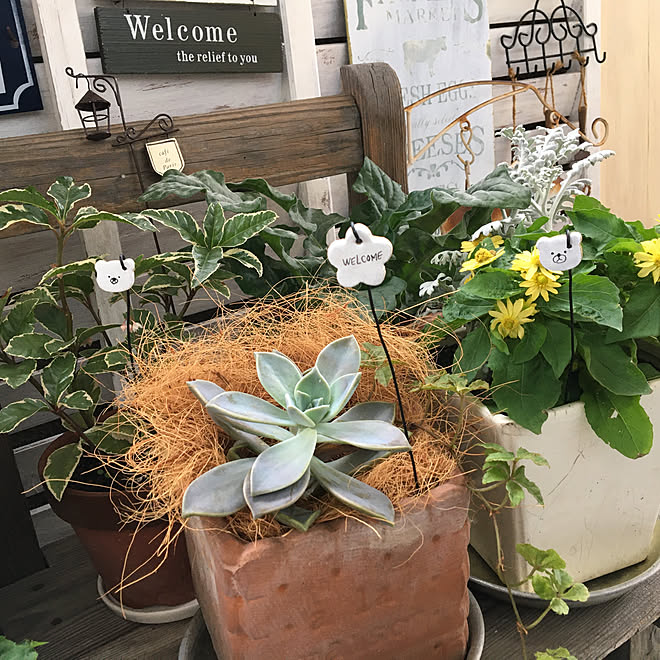 ガーデンピック手作り オーブン陶芸 オーブン粘土 オーブン陶土 ベランダガーデン などのインテリア実例 06 26 11 34 15 Roomclip ルームクリップ