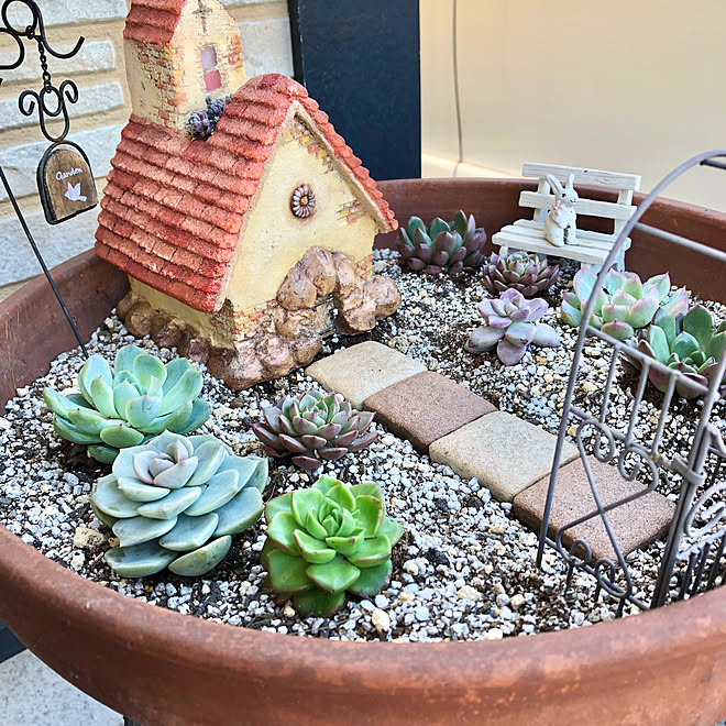 ミニチュアガーデン ジオラマ風 箱庭ガーデン 作家さんのモルタルハウス 多肉植物のある暮らし などのインテリア実例 22 02 27 16 34 29 Roomclip ルームクリップ
