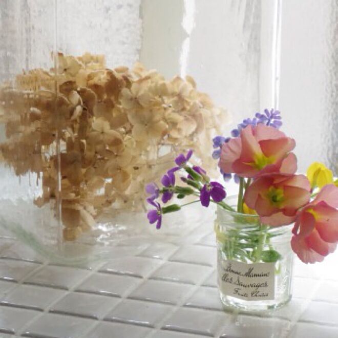 棚/古いもの/容れ物/庭のお花のインテリア実例 - 2013-04-14 15:03:03
