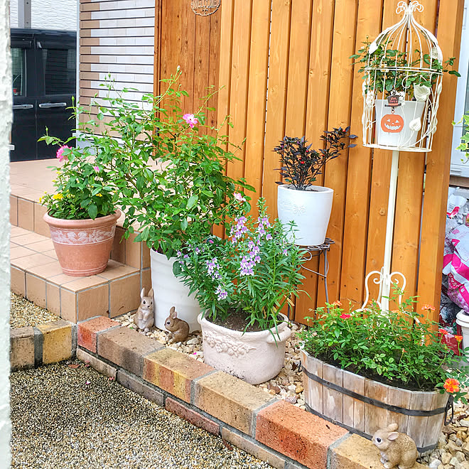 玄関 入り口 玄関前アプローチ 寂しい玄関 手作りの庭 フェンスdiy などのインテリア実例 18 09 07 19 53 10 Roomclip ルームクリップ