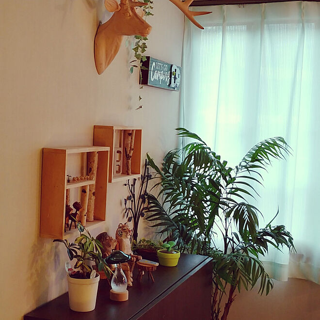mogumogumoguさんの部屋