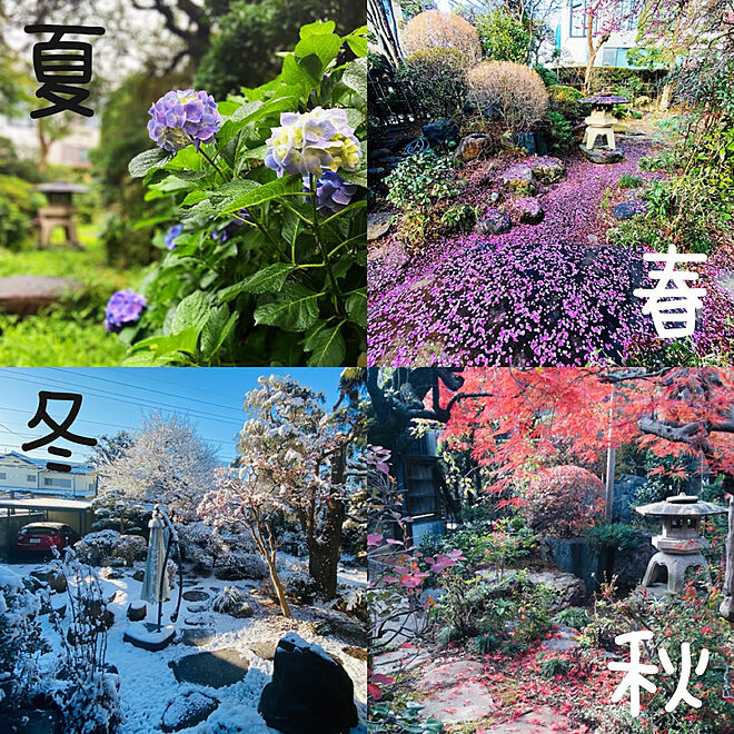 季節を楽しむ/季節を感じる/日本庭園/四季/我が家の庭...などのインテリア実例 - 2022-06-15 23:11:36