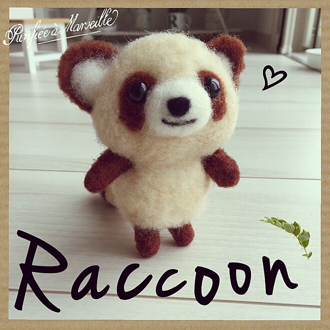 Raccoonさんの部屋
