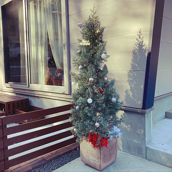 コニファーツリー コニファー クリスマス いぬのいる暮らしのインテリア実例 11 13 14 43 55 Roomclip ルームクリップ