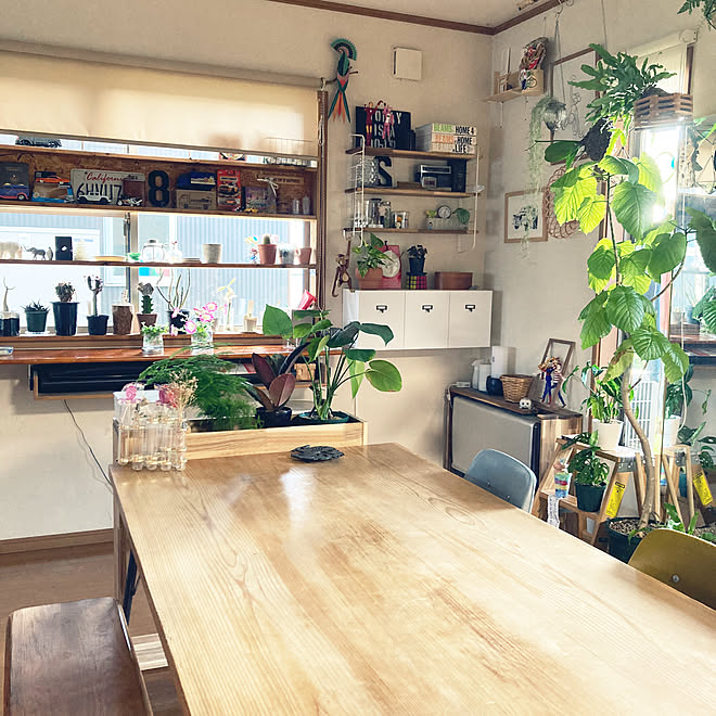 DIYで暮らす部屋/植物/DIY/DIYだらけ/植物のある暮らし...などのインテリア実例 - 2023-05-15 17:43:25