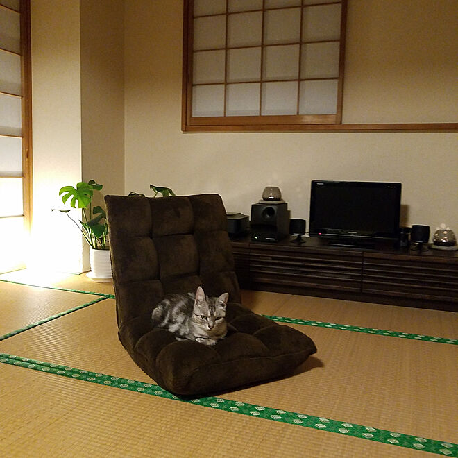 sayuさんの部屋