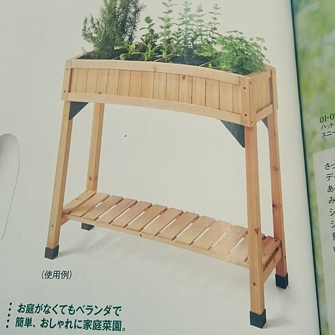 バス/トイレ/雑誌掲載/DAMA CASA/プランターのインテリア実例 - 2017-06-05 13:17:50