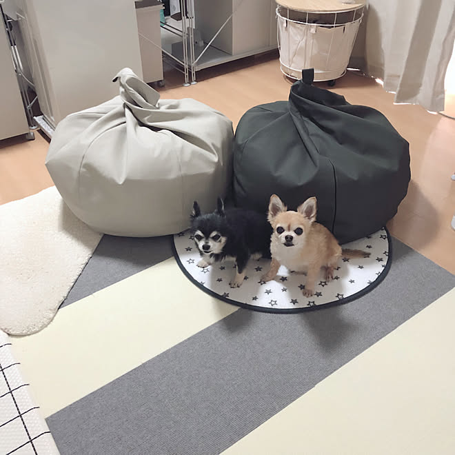 Emiさんの部屋