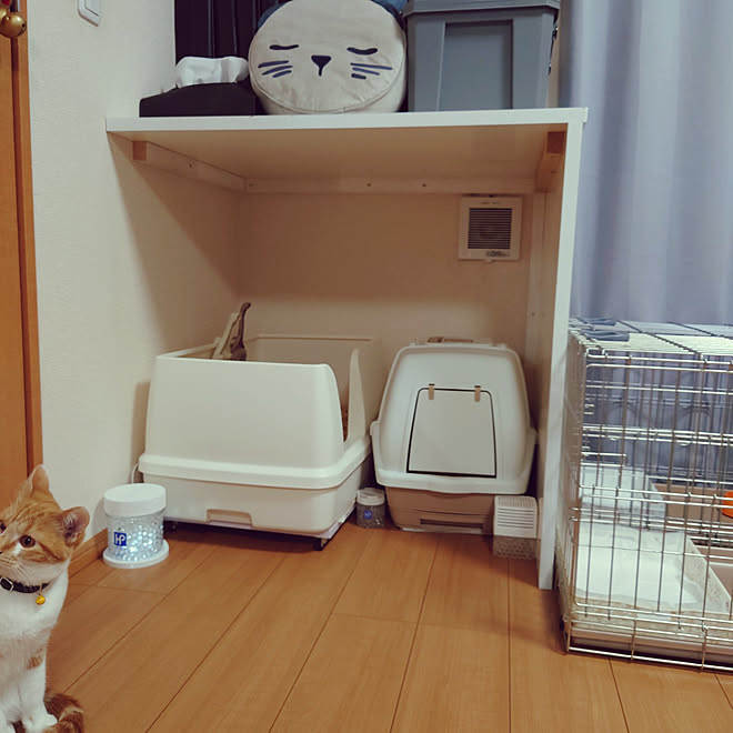 noguriさんの部屋