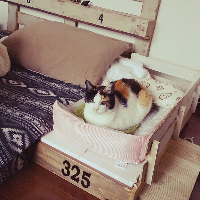猫スペース/ベッド周り/ねこのいる暮らし/ねこのいる日常/DIY リメイクのインテリア実例 - 2020-04-13 20:22:26