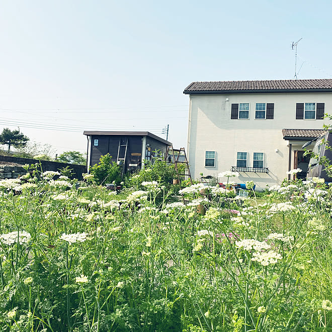 TOROさんの部屋