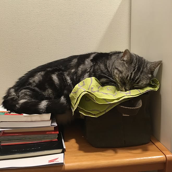 mikomaruさんの部屋