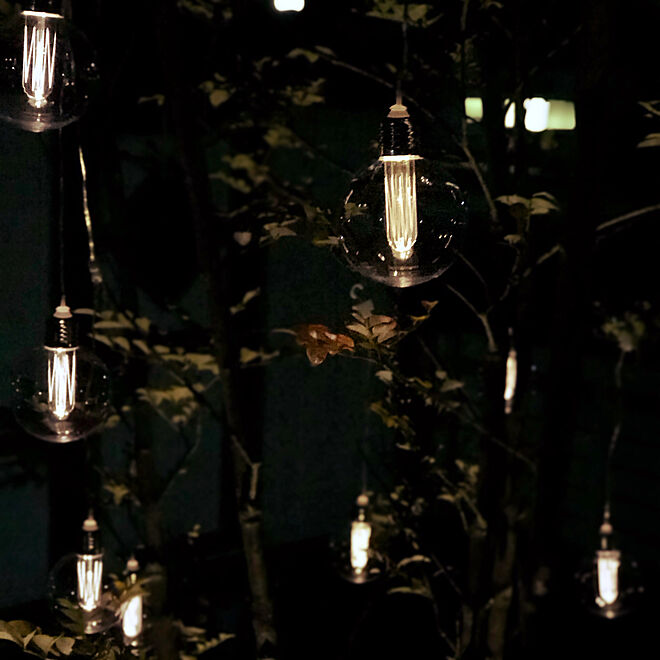 シンボルツリーはシマトネリコ/お庭の照明のインテリア実例 - 2018-12-21 17:59:14