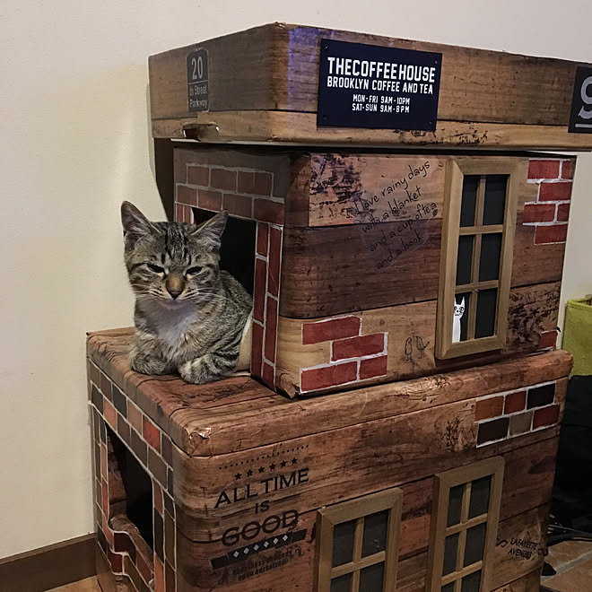 机 猫ハウス手作り ちびこ 猫のいる日常 保護猫 などのインテリア実例 18 04 11 00 07 08 Roomclip ルームクリップ
