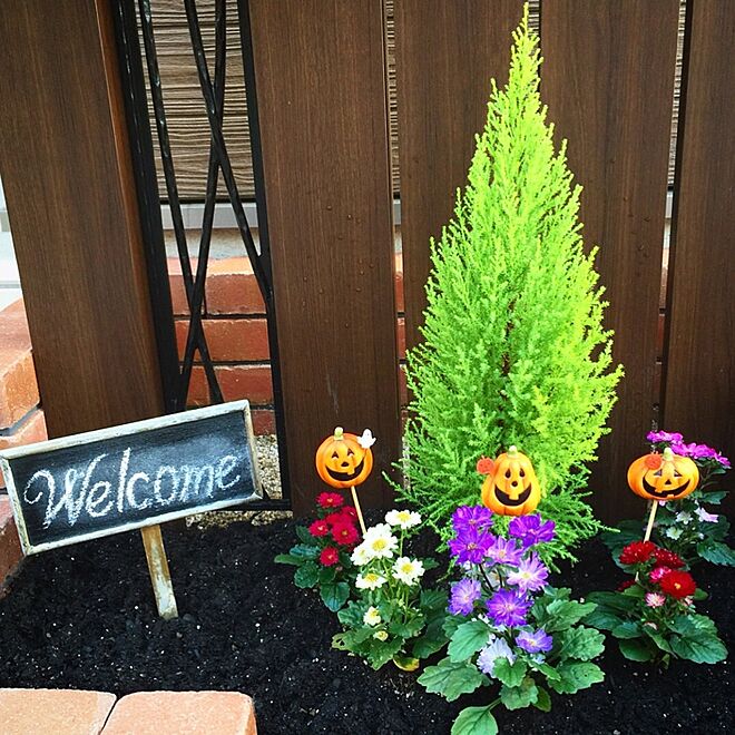 玄関/入り口/手作り花壇/welcomeプレート/welcome/かぼちゃ...などのインテリア実例 - 2015-10-08 14:29:35
