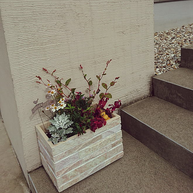 玄関 入り口 門柱まわり 門柱花壇 プランター 寄せ植えのインテリア実例 18 10 16 11 23 Roomclip ルームクリップ