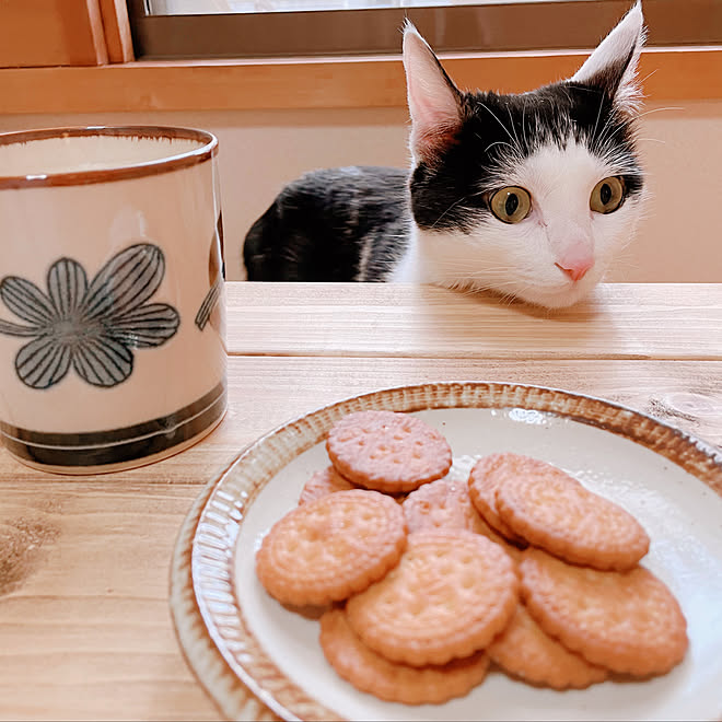 harukaさんの部屋