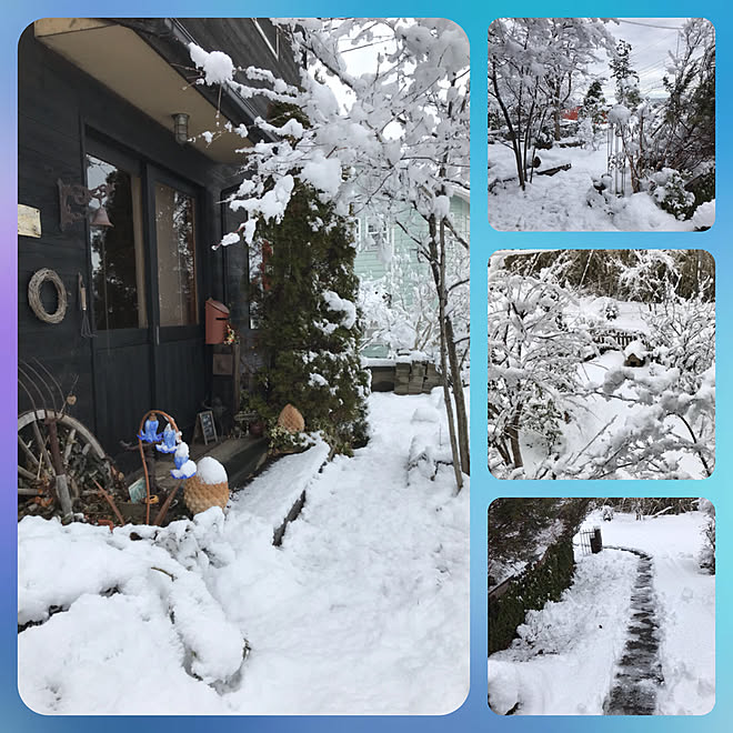 Mackyさんの部屋