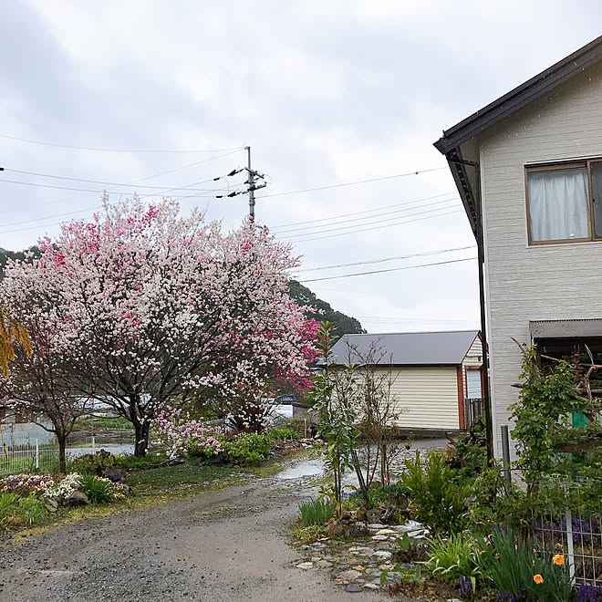 pepeさんの部屋