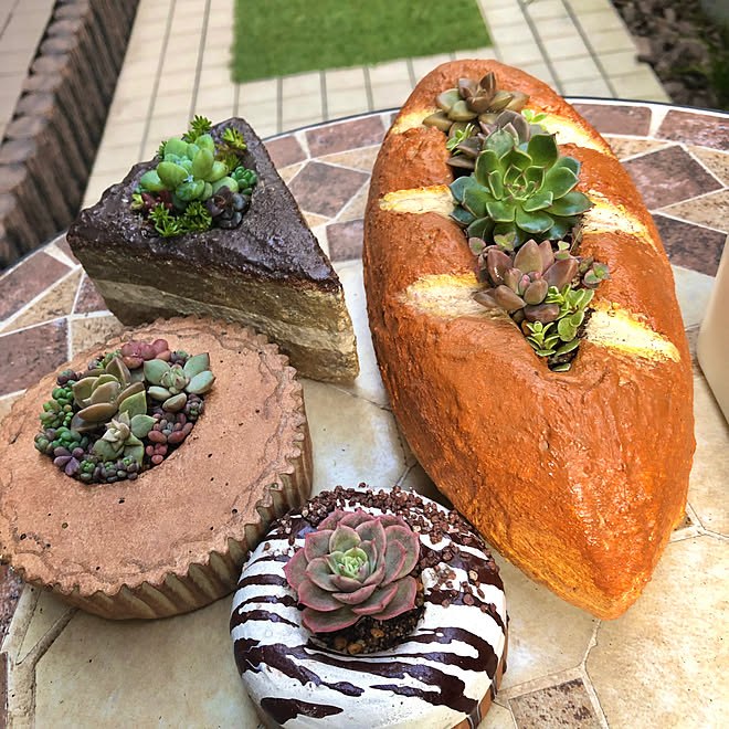 ♥️モルタル製ケーキ鉢♥️多肉植物寄せ植え♥️ 【公式通販】