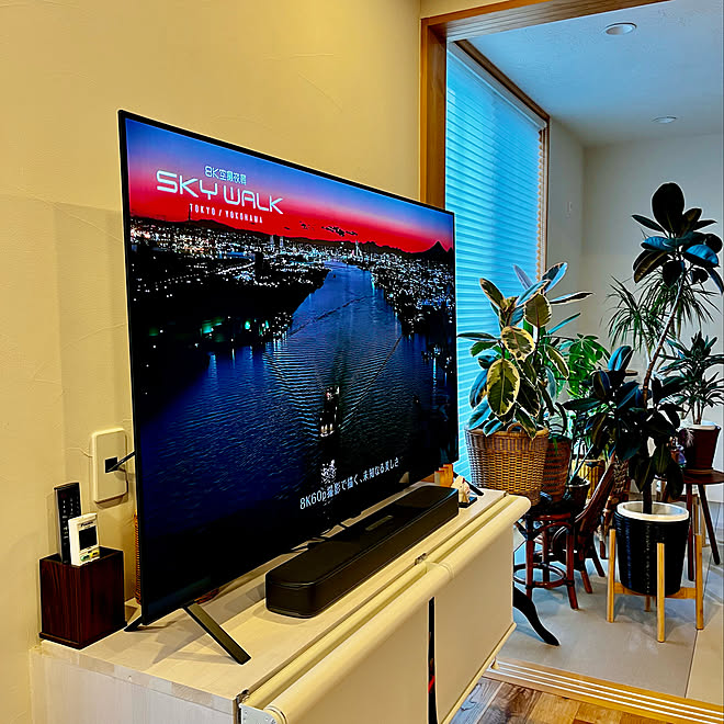 LG 4Kチューナー内蔵 有機ELテレビ OLED55B1PJAをレビュー！口コミ 