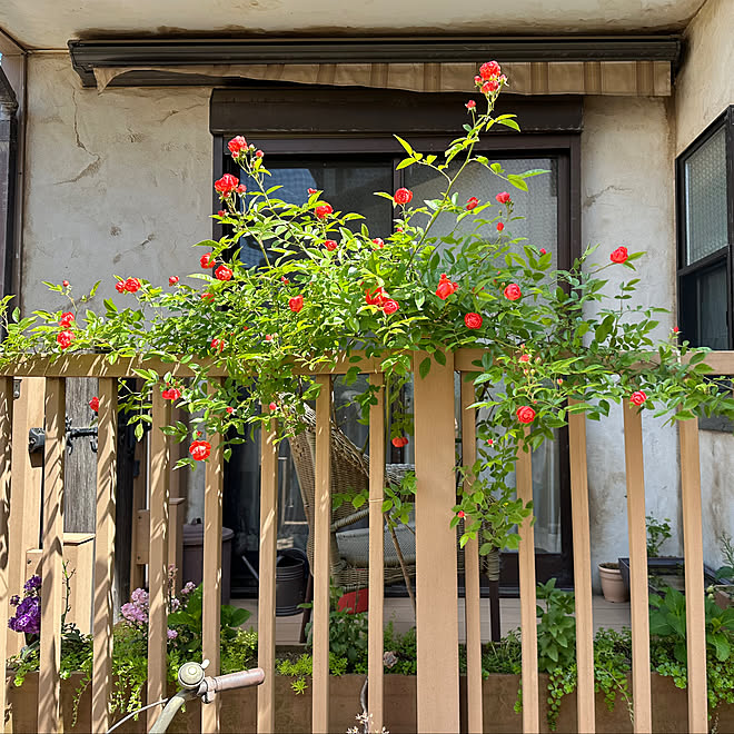 tabasaさんの部屋