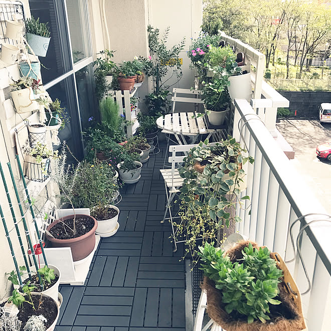 ベランダガーデニング ガーデンテーブル チェア ガーデンシェルフ ルーバーラティス 玄関 入り口 などのインテリア実例 19 09 23 22 59 11 Roomclip ルームクリップ