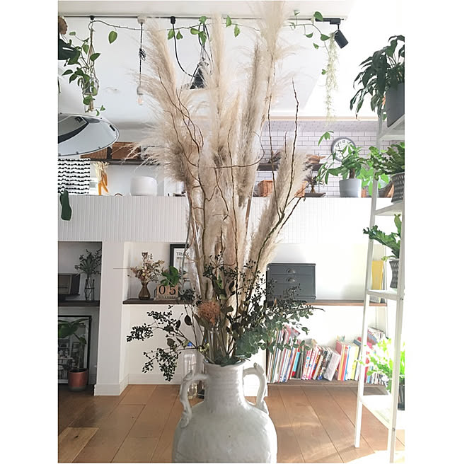 ドライフラワー　ヨシの穂① インテリア ドライフラワー ヨシの穂① インテリア