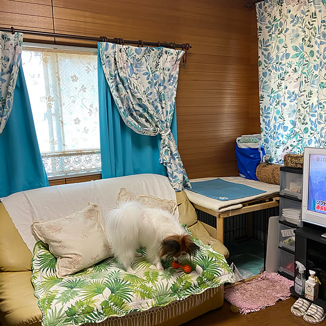 okachakoさんの部屋