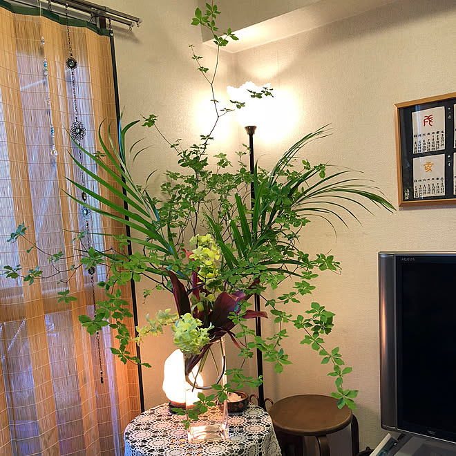 水を意識した生け花 ドウダンツツジ ガラス花器ニトリ ソルトランプ いけばな などのインテリア実例 19 06 15 22 22 38 Roomclip ルームクリップ