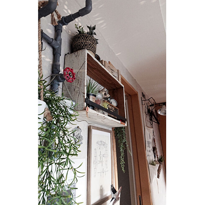 DIY/インダストリアル/インダストリアルインテリア/植物と暮らす/植物のある部屋...などのインテリア実例 - 2019-11-02 13:59:10
