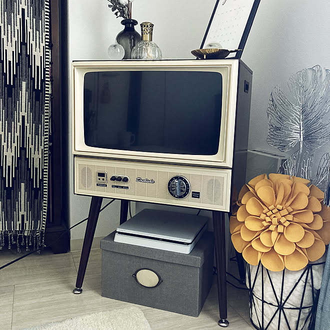 ヴィンテージデザイン 液晶テレビ VT203-BR DOSHISHA 20V型 | www