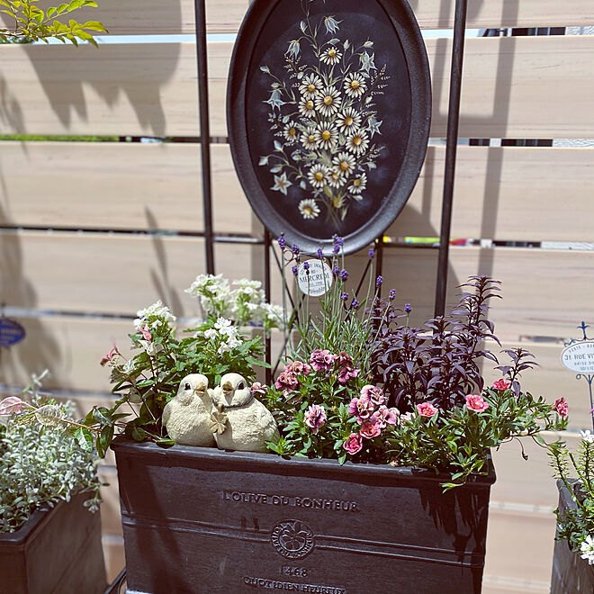 小鳥 つがい 花鉢 プランター ガーデン - フラワー/ガーデン