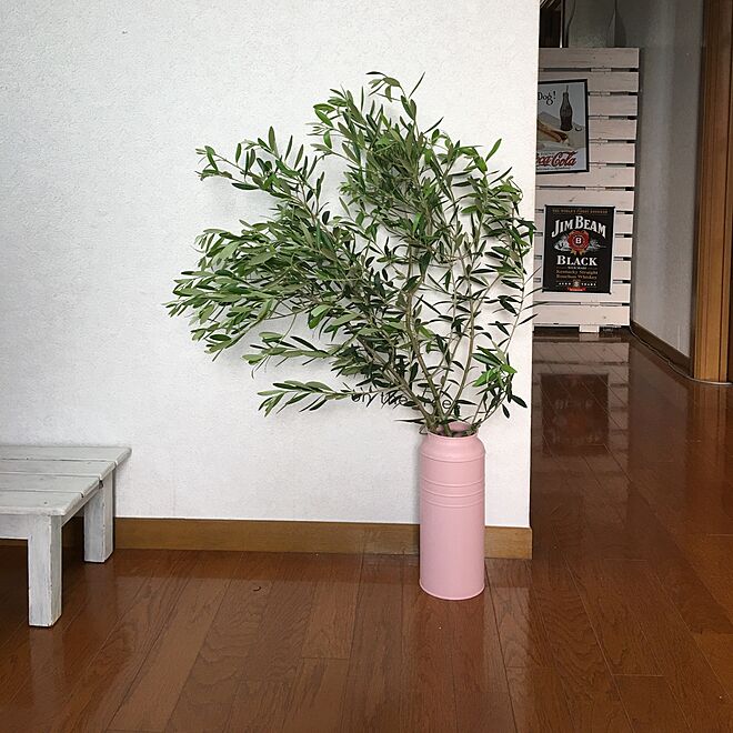 玄関/入り口/オリーブの枝/植物/IKEA/DIYのインテリア実例 - 2016-05-24 15:57:27