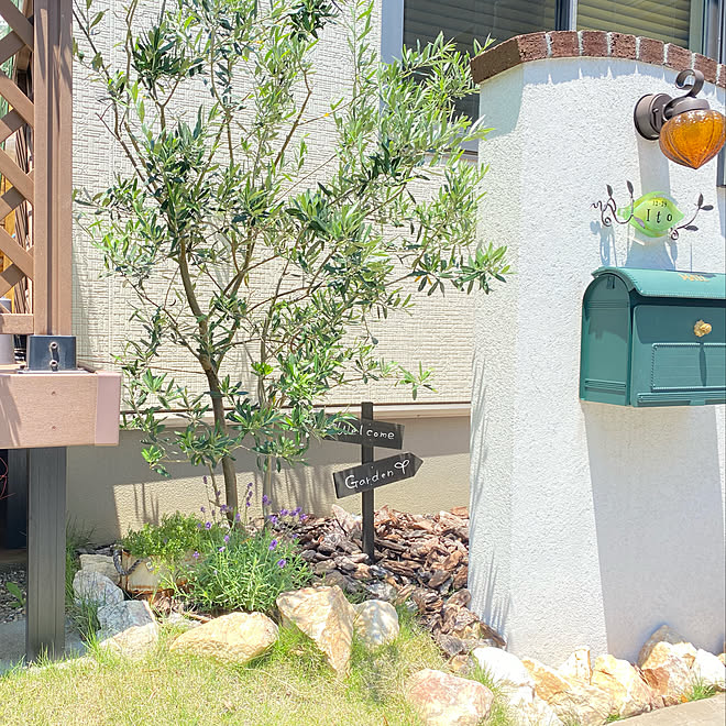 玄関横の花壇 北欧ガーデン シンプルが好き ナチュラルガーデン ラベンダー などのインテリア実例 05 29 11 47 19 Roomclip ルームクリップ