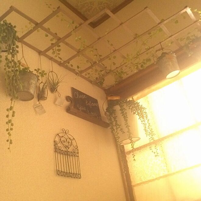 壁/天井/室内グリーン/フェイクグリーン/なんちゃって窓のインテリア実例 - 2013-09-07 12:48:07