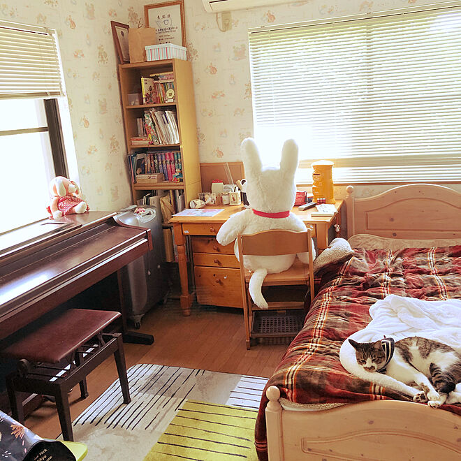 娘の部屋は猫のもの/娘の部屋/ねこのいる風景/白キジのん/部屋全体のインテリア実例 - 2021-05-15 10:36:38