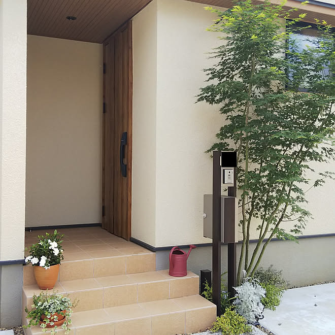 北向き玄関 植栽 イロハモミジ 寄せ植え クチナシ などのインテリア実例 22 05 25 13 34 56 Roomclip ルームクリップ