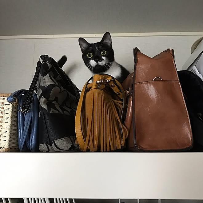 kitさんの部屋