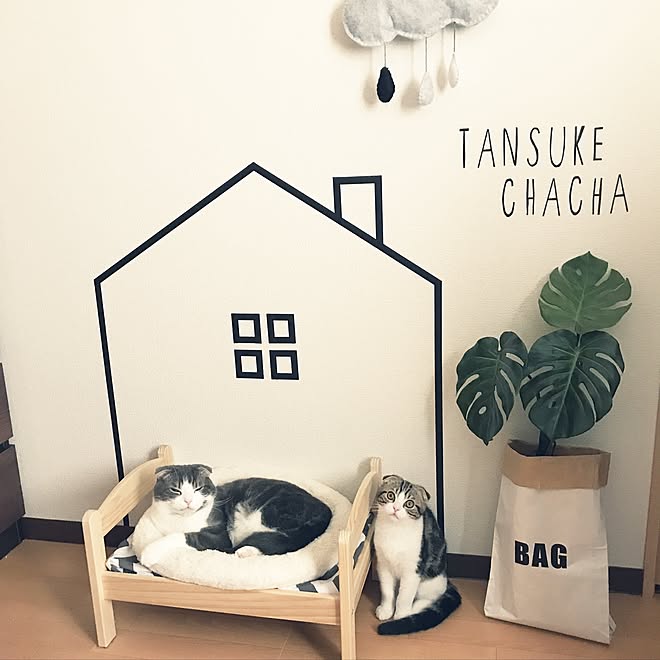 tansukeさんの部屋