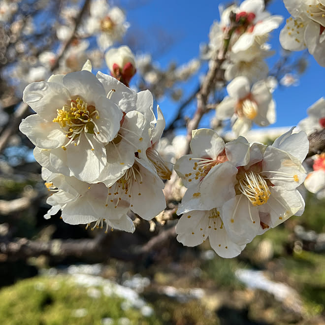 Nagakoさんの部屋