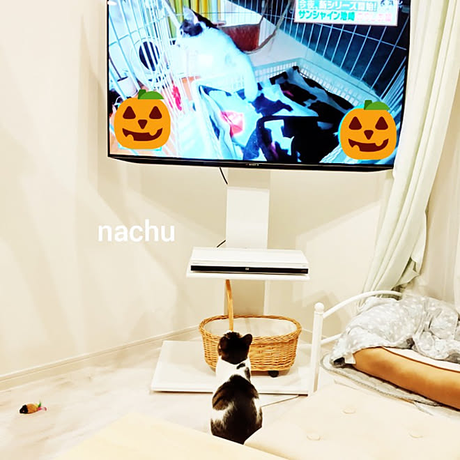 nachuさんの部屋