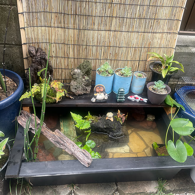 DIY✨癒し♡滝が流れるビオトープ✨観葉植物&メダカ&エビ&カメ