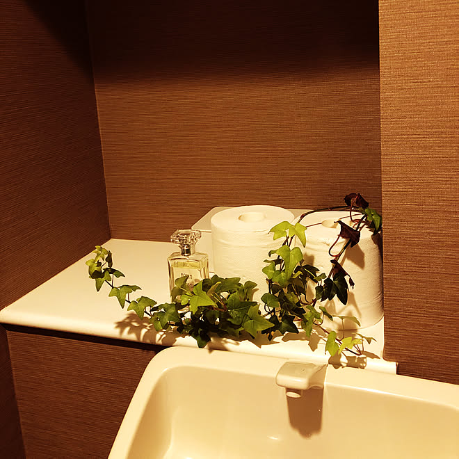 トイレ/観葉植物/バス/トイレのインテリア実例 - 2019-07-14 22:48:31