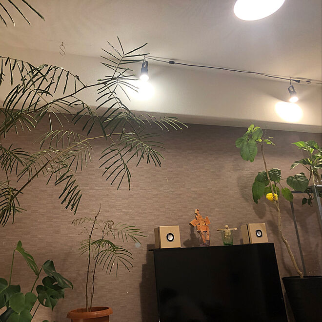 plants.fjkさんの部屋