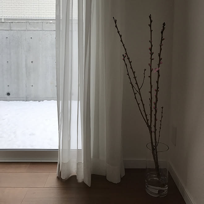 部屋全体/桃の花がさいたのインテリア実例 - 2018-02-12 10:18:44