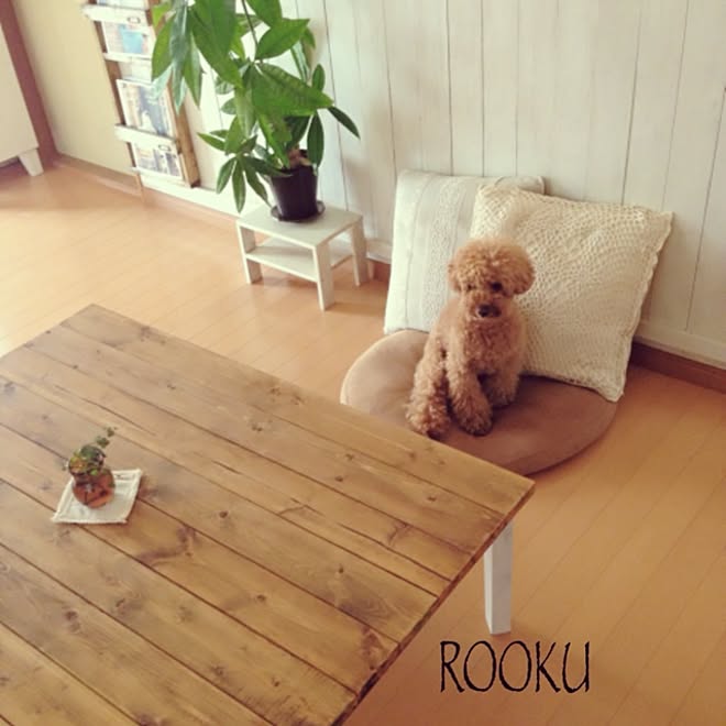 rookuさんの部屋