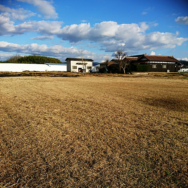 庭/裏庭/開拓中/畑/田舎暮らし...などのインテリア実例 - 2018-12-15 15:27:12