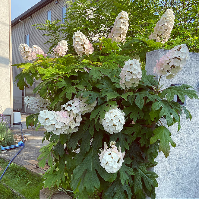 kanacchoさんの部屋